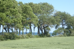 P1000793